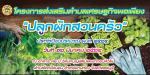 โครงการส่งเสริมตำบลเศรษฐกิจพอเพียง “ปลูกผักสวนครัว” ประจำปีง